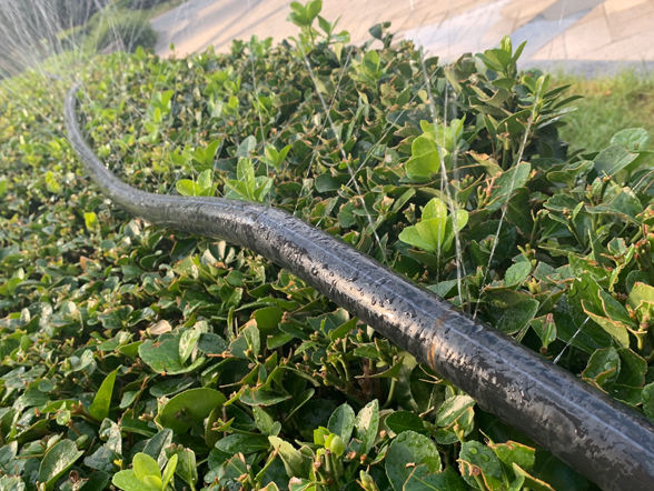 地埋喷灌,自动化灌溉,智能灌溉,石家庄地埋喷灌,石家庄自动化灌溉,石家庄智能灌溉