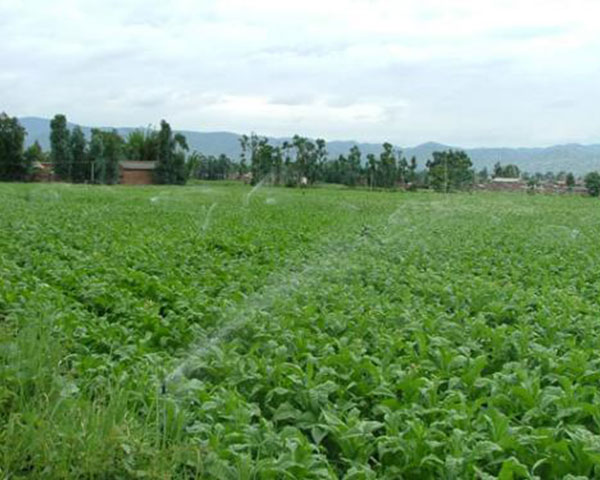 自动化灌溉厂家