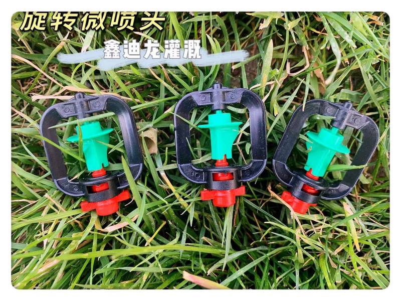 1619050970485171.jpg WPS图片-修改尺寸(25).jpg